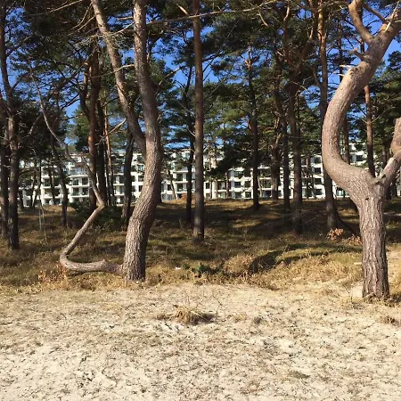 Apartmán Strandresidenz Blessralle A03 *